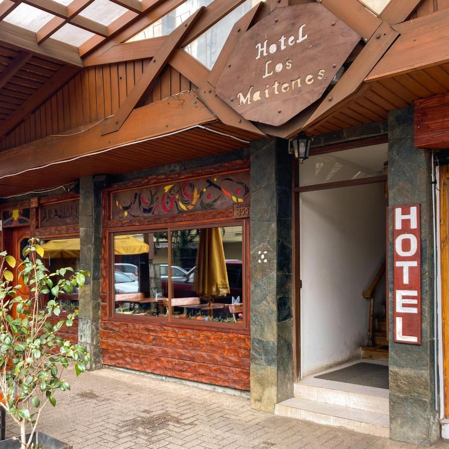 Hotel Los Maitenes プコン エクステリア 写真